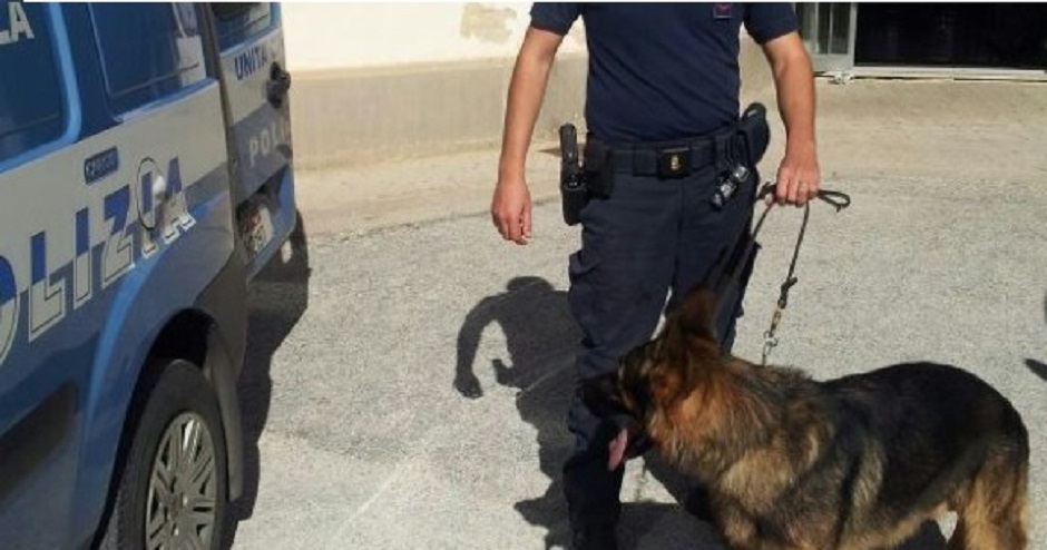 Maxi Sequestro Di Droga A Palermo Allo Sperone, Arrestata Una Donna ...