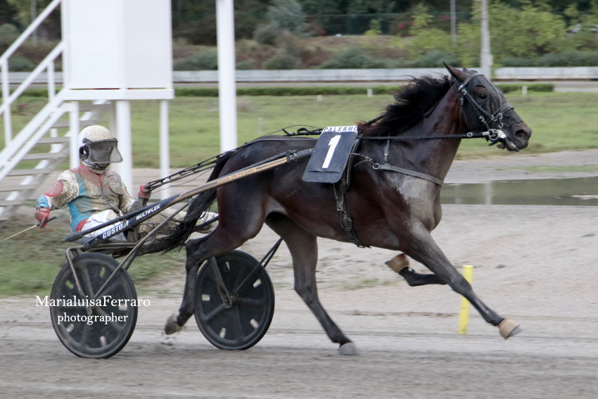 Trotto All’ippodromo Della Favorita, La Pioggia Non Ferma Le Corse ...