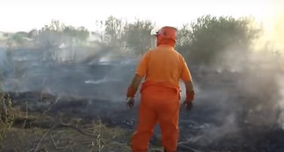 Gli incendi di vegetazione e boschivi continuano a divorare la Sicilia, il Movimento 5 Stelle deposita un ddl all’Ars