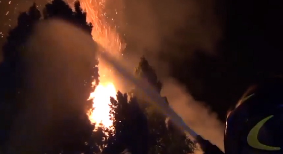 Notte di roghi ai rifiuti e alla vegetazione tra Palermo e provincia, sterpaglie e cumuli di spazzatura dati alle fiamme