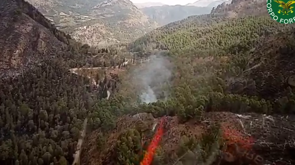 Non Si Fermano Gli Incendi In Sicilia Undici Interventi Oggi E Marted C Allerta Caldo