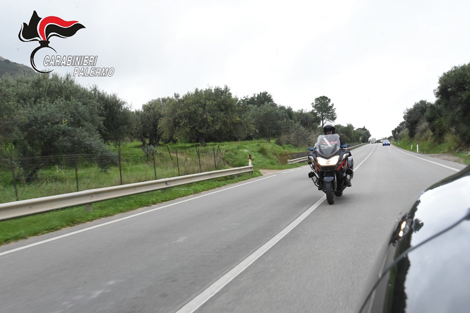 I carabinieri scoprono durante un’indagine una piantagione di droga in aperta campagna nel palermitano, denunciato un 78enne