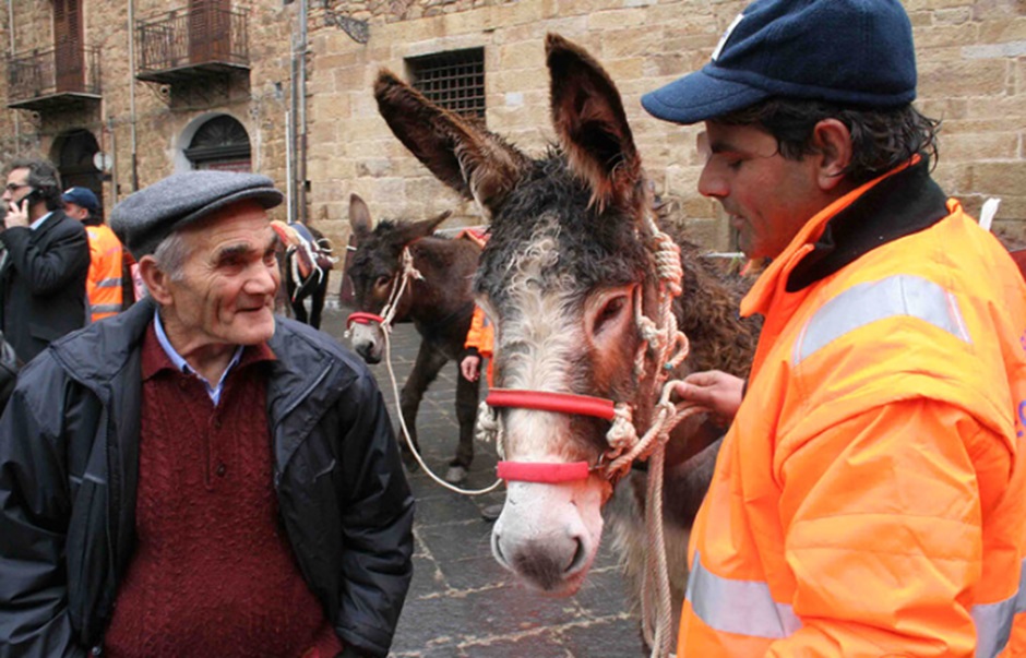 Animalisti contro Comune e ditta rifiuti a Castelbuono per l’utilizzo di asini e cani per lo smaltimento della spazzatura