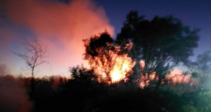 Incendi di vegetazione nella zona di Campofelice di Roccella, intervenuti vigili del fuoco e volontari