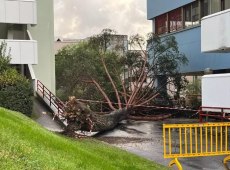 Salerno, albero si spezza e cade al suolo, feriti 5 studenti