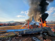 Disastro aereo in Corea del Sud, 176 morti dopo un bird strike (VIDEO)