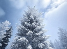 Meteo Italia, neve e gelo, cosa aspettarsi dal Natale e Santo Stefano